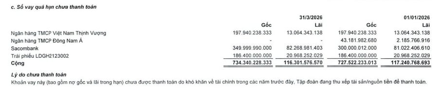Một doanh nghiệp bất động sản bị Ngân hàng Quân đội phong tỏa gần 1.600 tỷ đồng, nợ quá hạn số tiền lớn tại VPBank và Sacombank