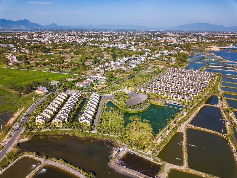 DPG – thông tin xử phạt giao dịch cổ phiếu