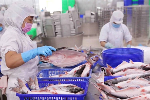 Vĩnh Hoàn báo lãi gần 290 tỷ quý I, danh mục chứng khoán nắm DXS và NLG đều lỗ