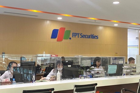 Chứng khoán FPT (FTS) chia cổ tức 5% bằng tiền và thưởng cổ phiếu, tỷ lệ 10%