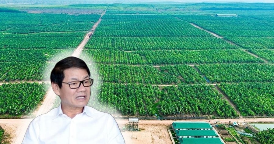 Dự án nông nghiệp tại Lào có thể mang về cho tỷ phú Trần Bá Dương 500 triệu USD vào năm 2028