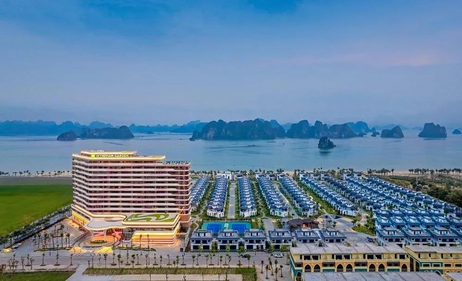 CEO Group chốt ngày trả cổ tức 2025 bằng cổ phiếu, phát hành hơn 28 triệu cổ phiếu
