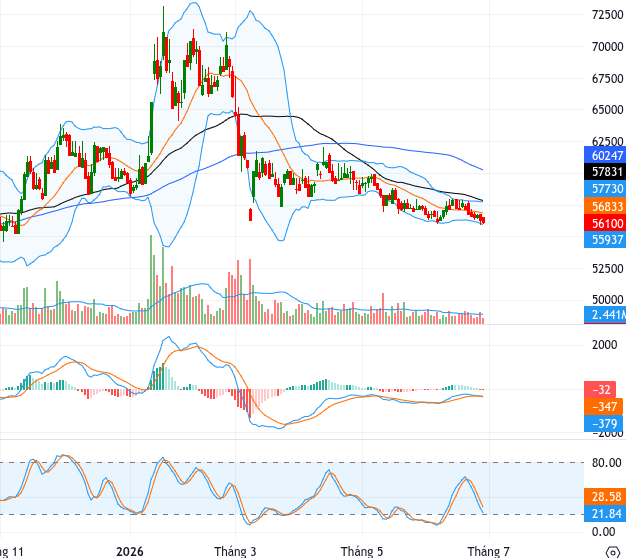 VNM chart