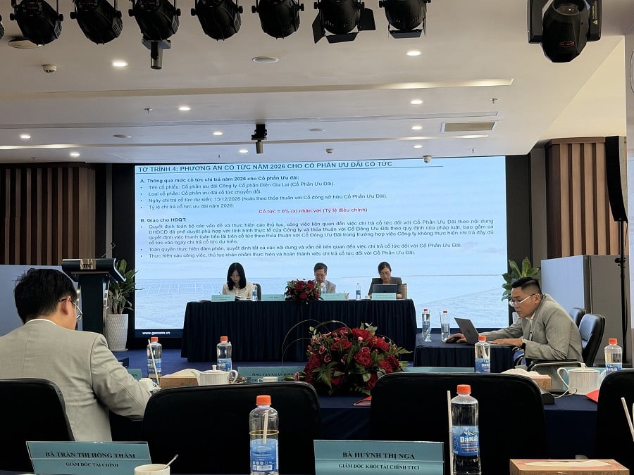 ĐHĐCĐ GEG: Mục tiêu lãi 380 tỷ đồng, điện mặt trời Đức Huệ 2 sắp áp dụng DPPA