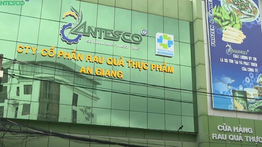 Chuyện gì đang diễn ra ở cổ phiếu ANT của Antesco?