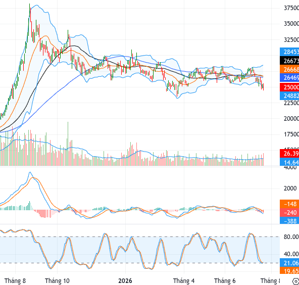 VPB chart