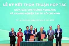 Ngân hàng và chứng khoán chủ động tìm vốn ngoại tại VIFC