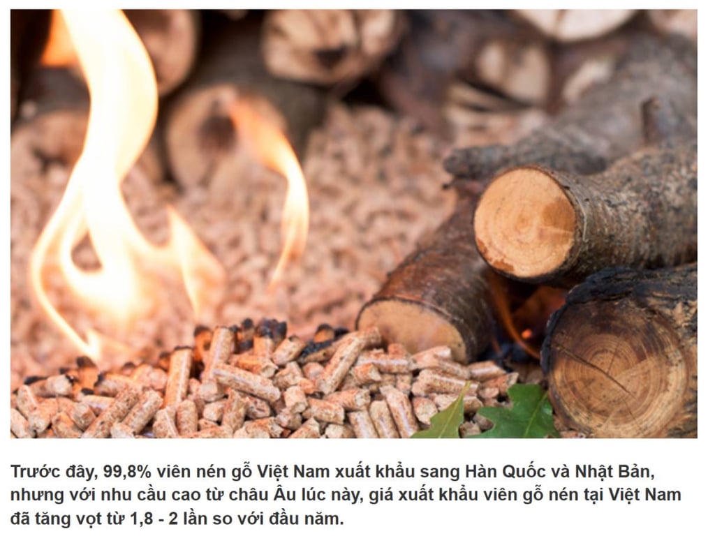 PTB Viên nén gỗ