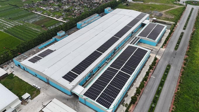 Damsan góp 36 tỷ đồng thành lập công ty bất động sản tại Hưng Yên