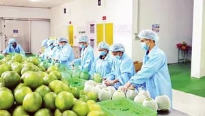 Chứng khoán Mỹ bứt phá sau dữ liệu việc làm