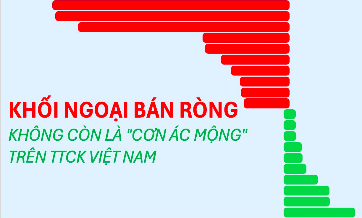 Biểu đồ khối ngoại - ảnh 1