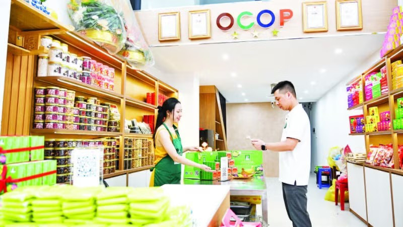 Minh bạch dòng tiền hộ kinh doanh