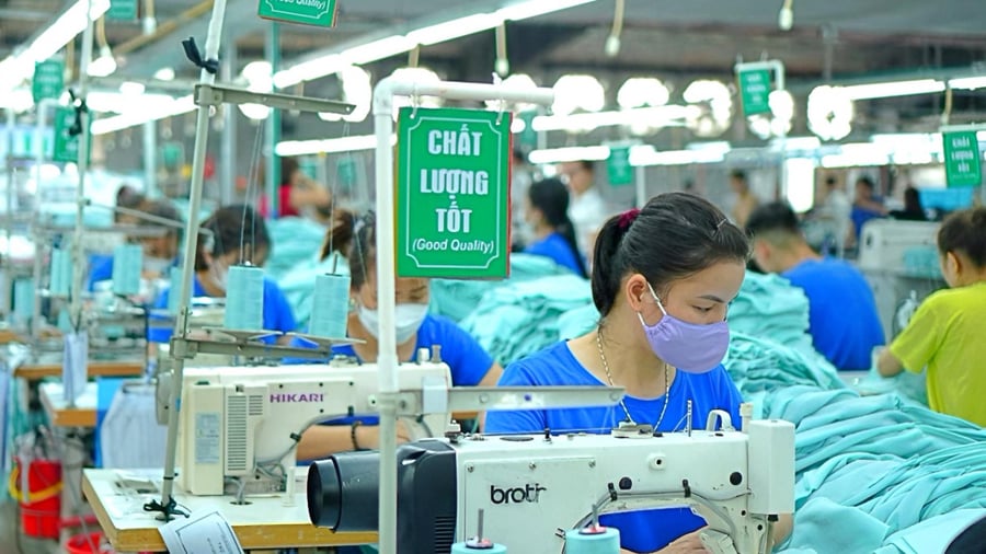 Tăng trưởng bứt phá, Dệt may TNG đẩy mạnh thâm nhập sâu chuỗi cung ứng toàn cầu