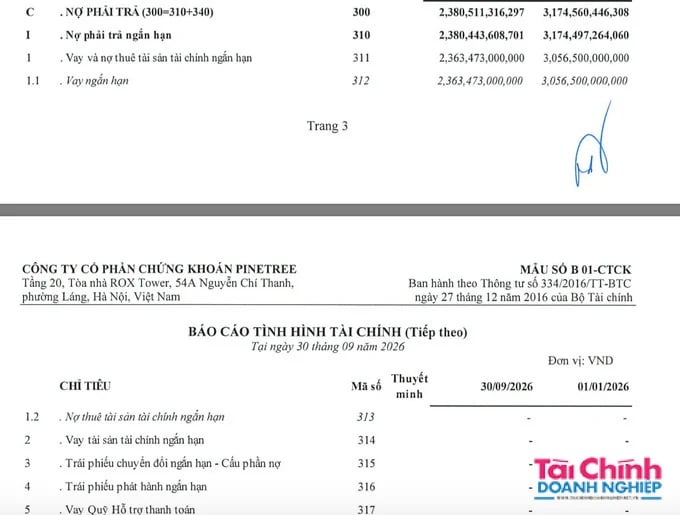 Lợi nhuận sau thuế của Chứng khoán Pinetree giảm 28%, dư nợ margin 2.500 tỷ đồng
