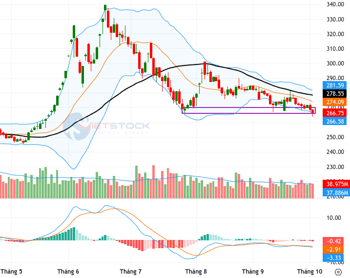 Vietstock Weekly 05-09/10/2026: Tiếp tục suy yếu?