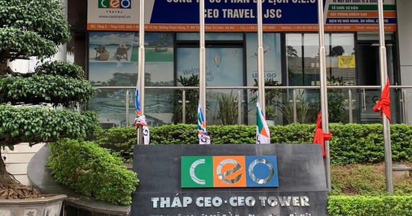 CEO Group chuẩn bị phát hành gần 28,4 triệu cổ phiếu trả cổ tức