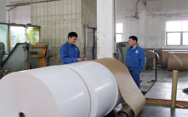 CTCP Giấy Việt Trì
