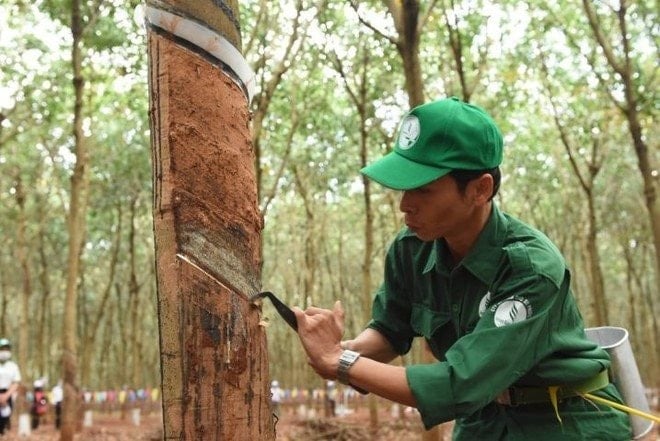 Thị giá cổ phiếu PHR điều chỉnh giảm nhẹ sau khi lập đỉnh giá lịch sử