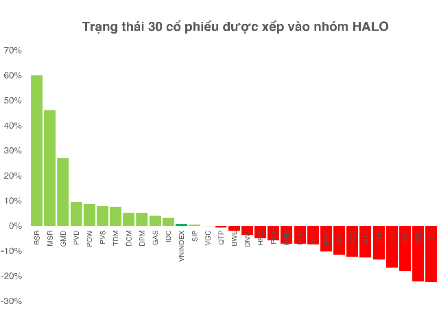 HALO diễn biến cổ phiếu