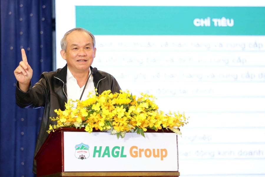 Công ty con của Hoàng Anh Gia Lai chào bán 18,8 triệu cổ phiếu, giá 60.600 đồng/cổ phiếu