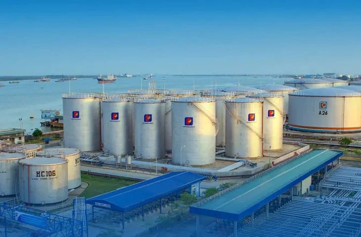Cổ phiếu PLC được khuyến nghị mua trong năm 2026 với tiềm năng tăng trưởng cao