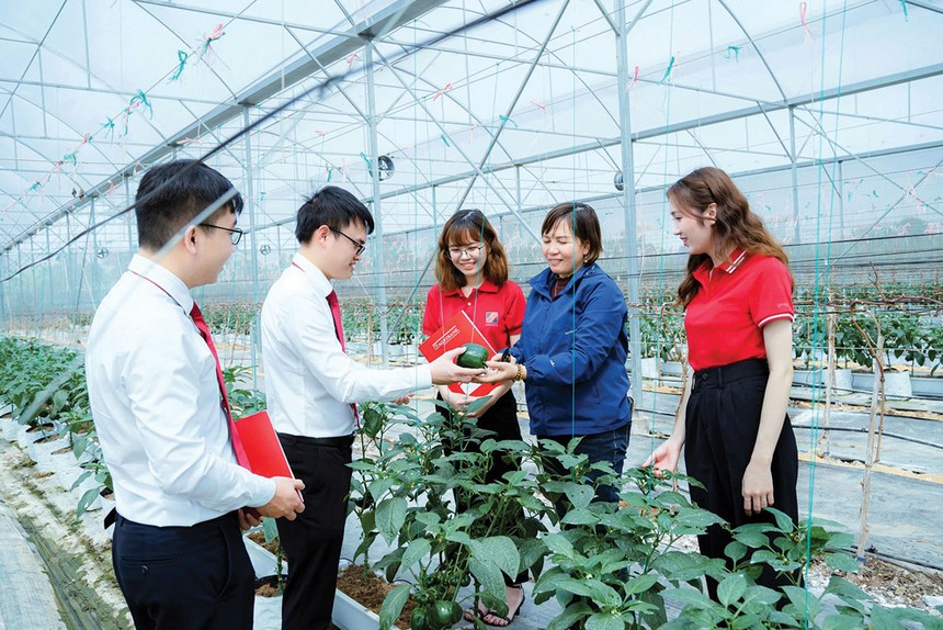 Cuộc đua xanh và những nền móng còn thiếu