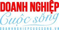 Từ tiệm vàng gia đình đến kế hoạch IPO, Bảo Tín Mạnh Hải có gì trong tay?