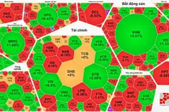 Hàng loạt doanh nghiệp, cá nhân vi phạm trong lĩnh vực chứng khoán bị xử phạt