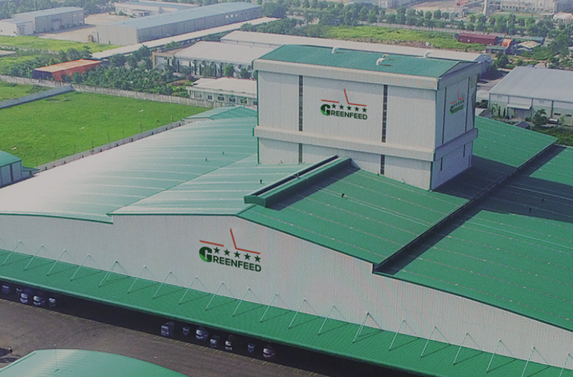 Greenfeed Việt Nam chi 300 tỷ đồng mua lại trái phiếu trước hạn, lãi năm 2025 vượt 3.600 tỷ đồng