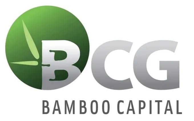 2 cổ phiếu thuộc hệ sinh thái Bamboo Capital bị hủy niêm yết