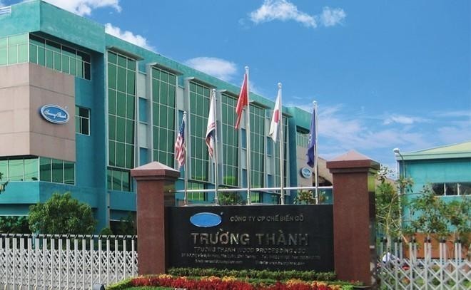 Gỗ Trường Thành giải trình nguyên nhân chậm công bố BCTC bán niên 2026
