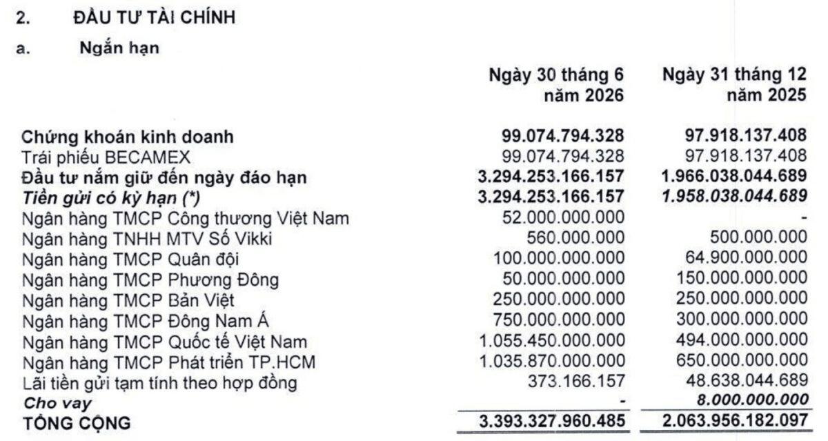 PNJ báo cáo tài chính
