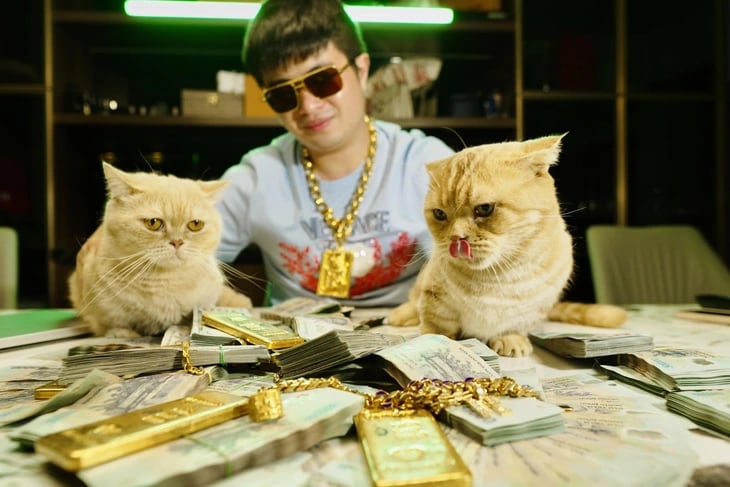 Phó Đức Nam - Mr Pips