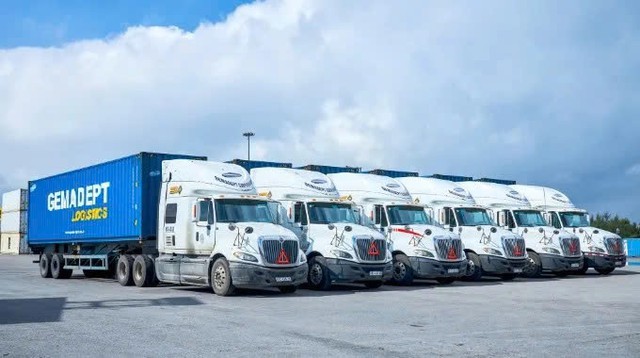Gemadept phát hành hơn 216 triệu cổ phiếu thưởng cho cổ đông