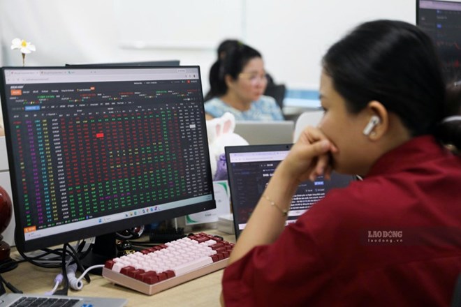Một cổ phiếu giảm sàn 29 phiên liên tiếp được bắt đáy