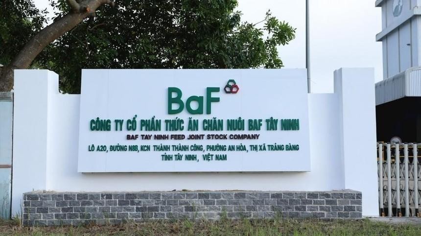 BAF sắp phát hành 8 triệu cổ phiếu ESOP với giá 13.000 đồng/cổ phiếu