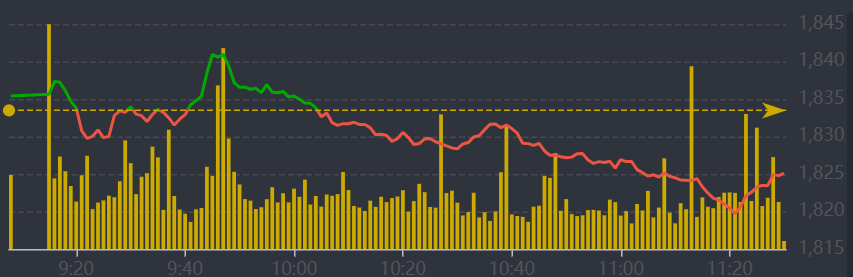 Diễn biến VN-Index sáng nay.
