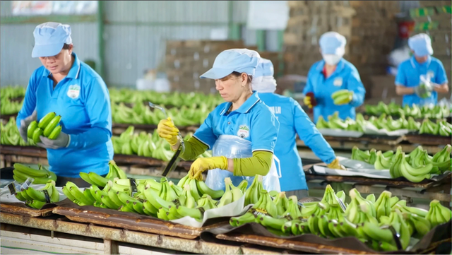 Cổ phiếu của HAGL Invest sắp được giao dịch trên UPCoM
