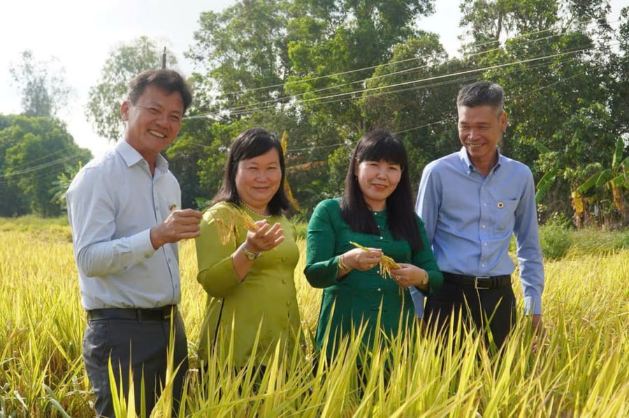 'Bón đúng, bón ít' – Triết lý làm nông nghiệp tử tế của một doanh nghiệp phân bón