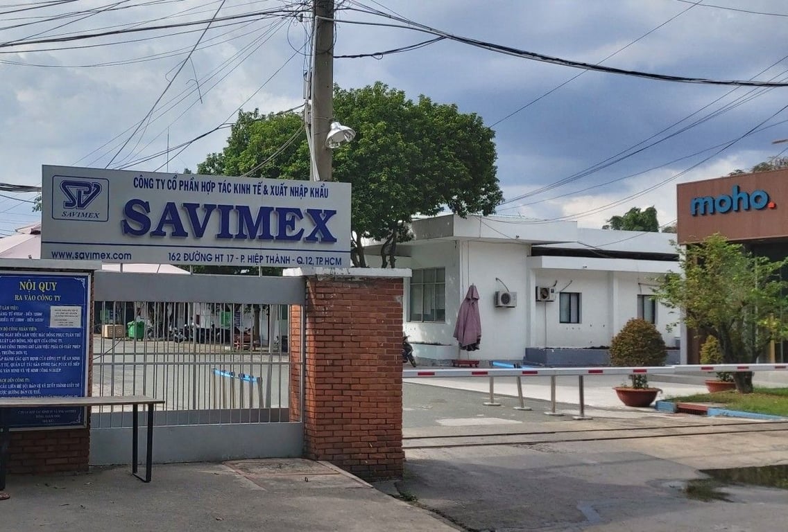 Savimex image