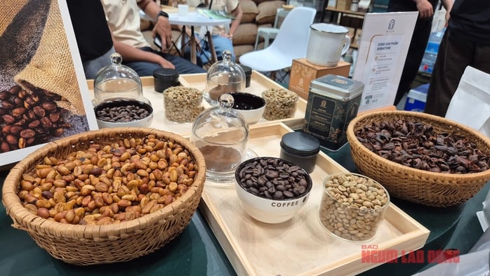 Biểu đồ giá cà phê thế giới