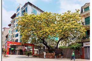 Bất ngờ: Ông Phạm Nhật Vượng nắm gần 5% LPBank, cổ phiếu lập tức tăng trần