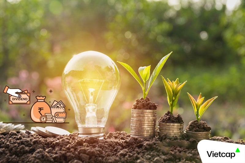Lịch chốt quyền trả cổ tức trong tuần từ ngày 3/8-7/8, tỷ lệ cao nhất 100%