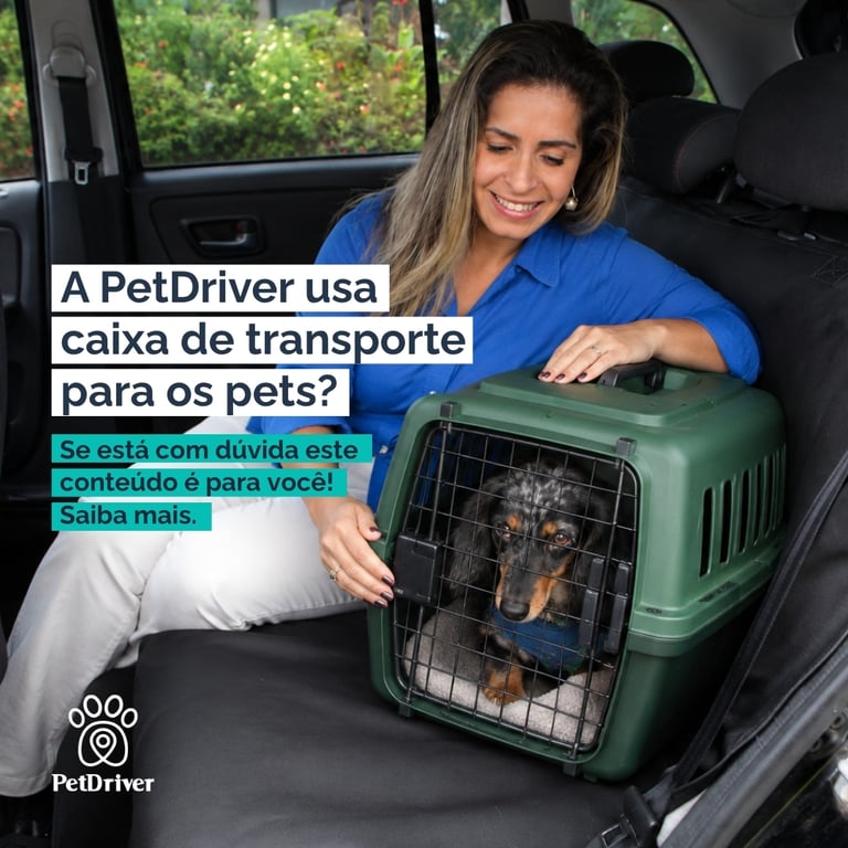 E a caixa de transporte? Preciso levar?