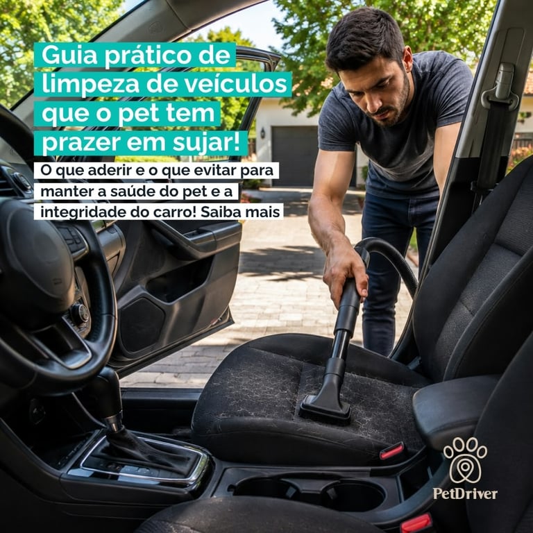 Como eliminar odores de animais do carro