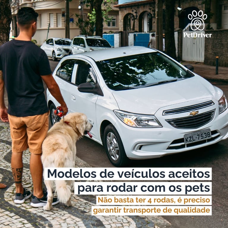 O que torna o carro ideal para a PetDriver?