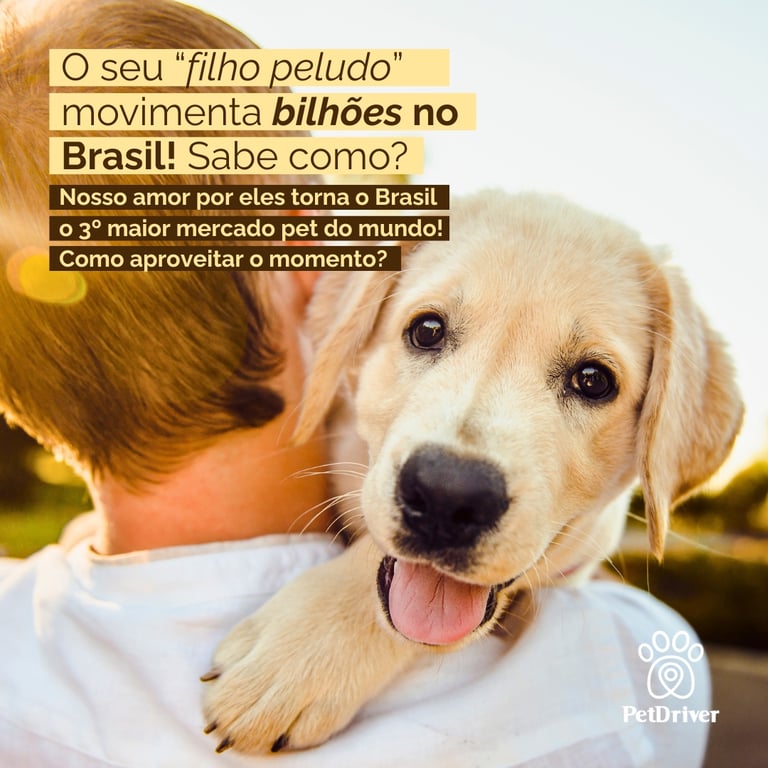Mercado Pet: R$ 77 Bilhões e um Novo Cenário de Negócios
