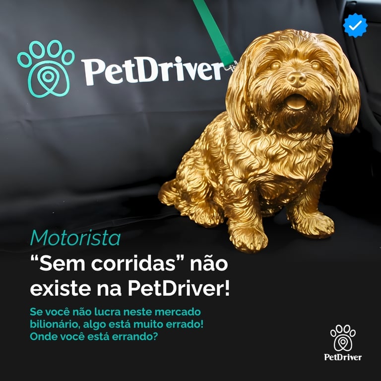 Motorista: o fim do mito "não tem cliente"