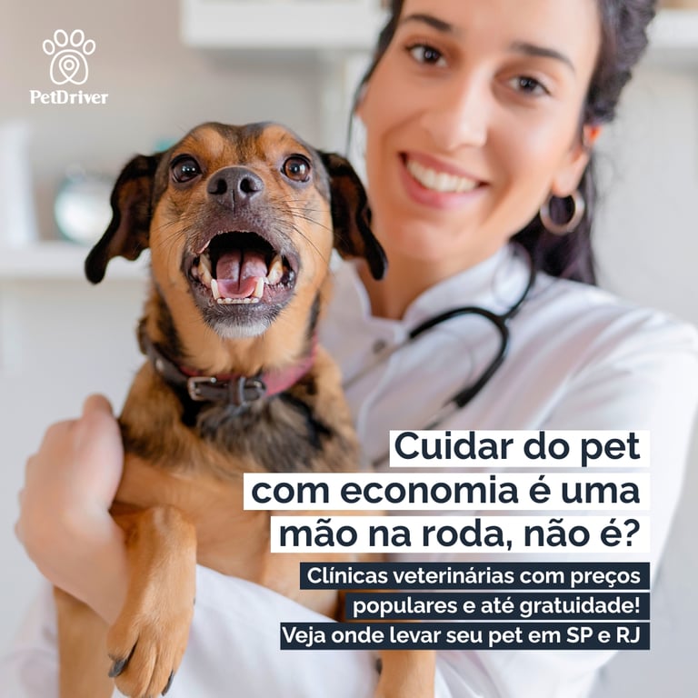 Guia de atendimento público e popular em SP e RJ