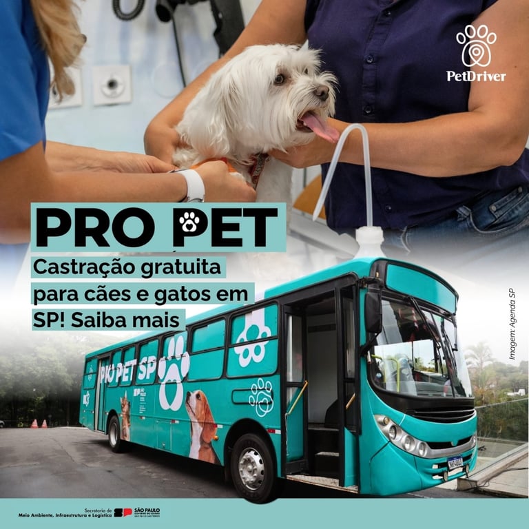 Castração gratuita em SP: conheça o Pro Pet SP